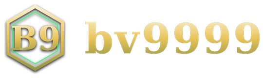 bv9999 logo